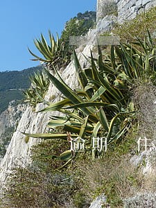 逾期 住房贷款 逾期 住房贷款